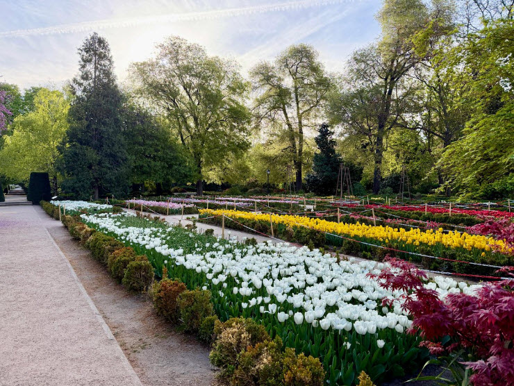 Real Jardín Botánico, Spain